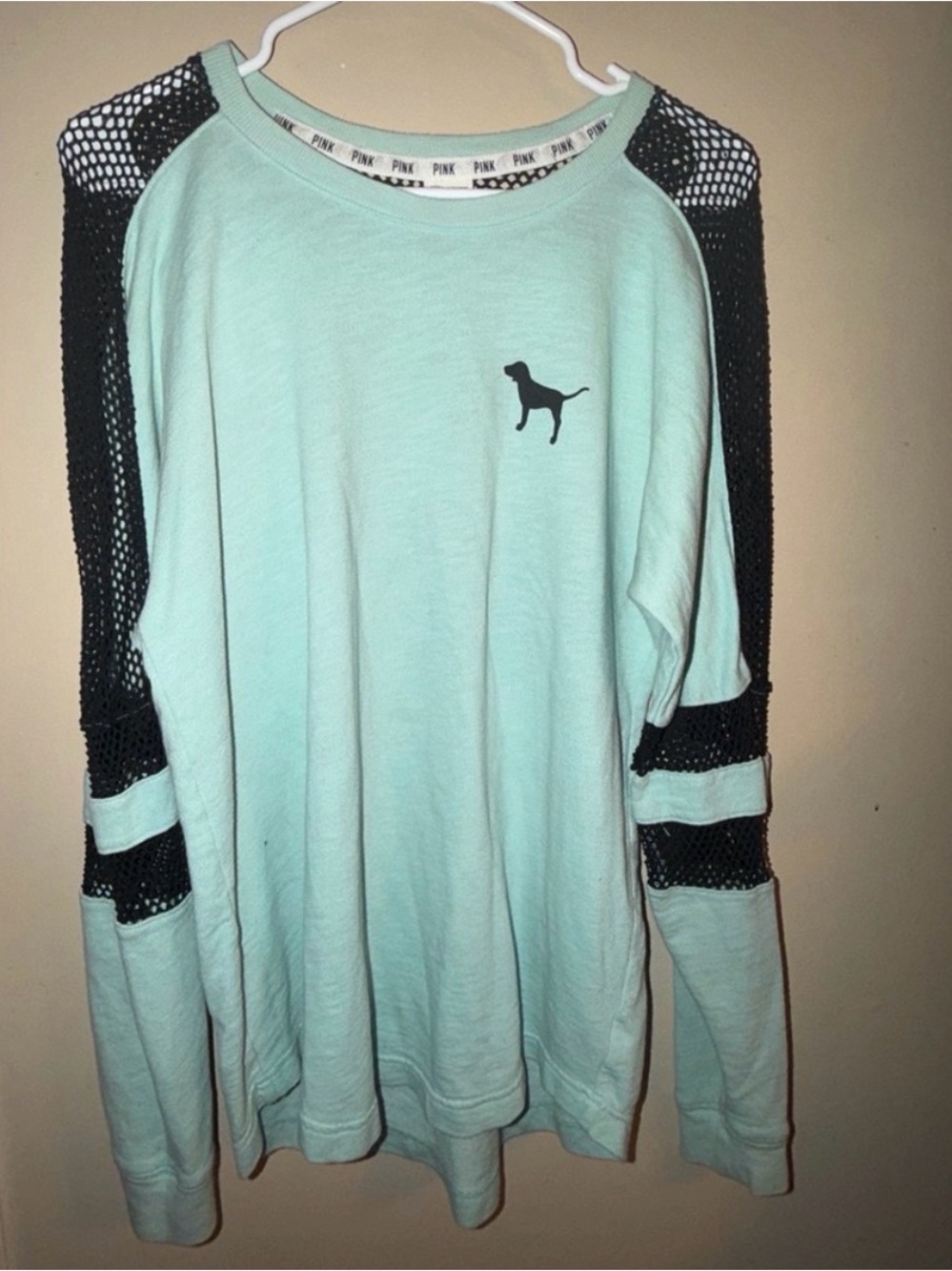 PINK Victoria's Secret Mint Crewneck